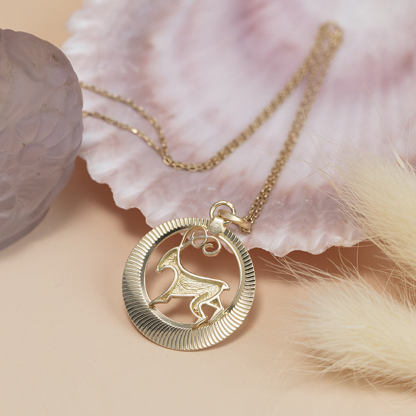 Gouden hanger steenbok 14 karaat